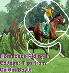 Boylesports horse