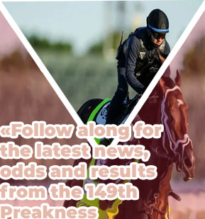 Latest horse racing odds